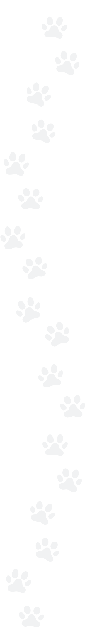 猫の足跡アイコン